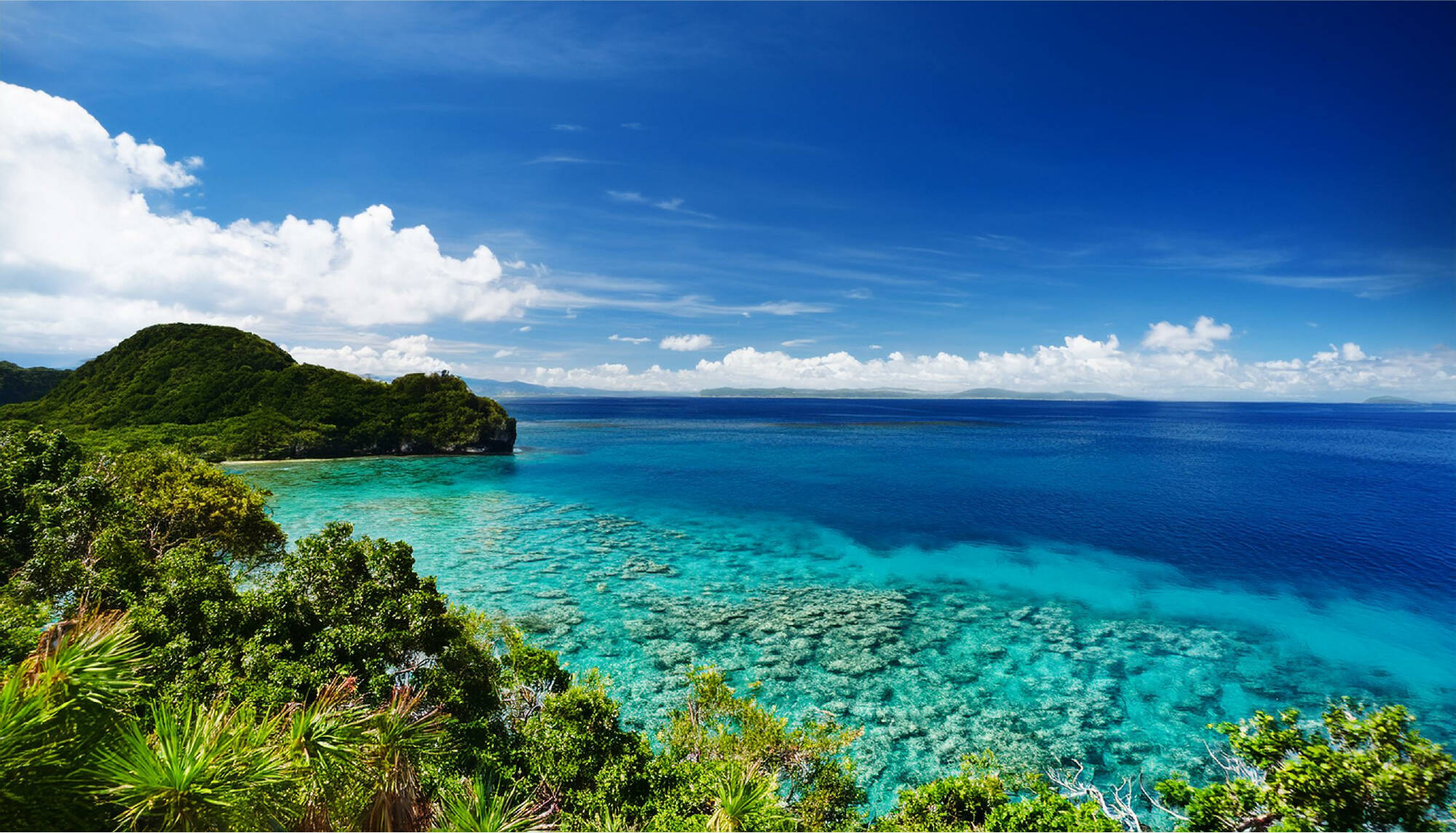 青空と透き通った南国の海