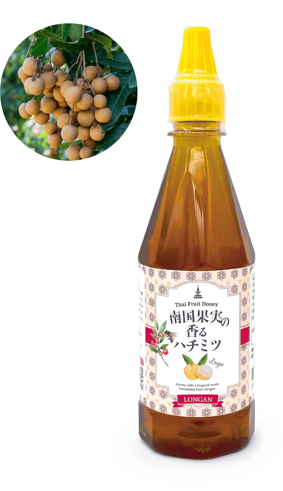 製品写真：ロンガン