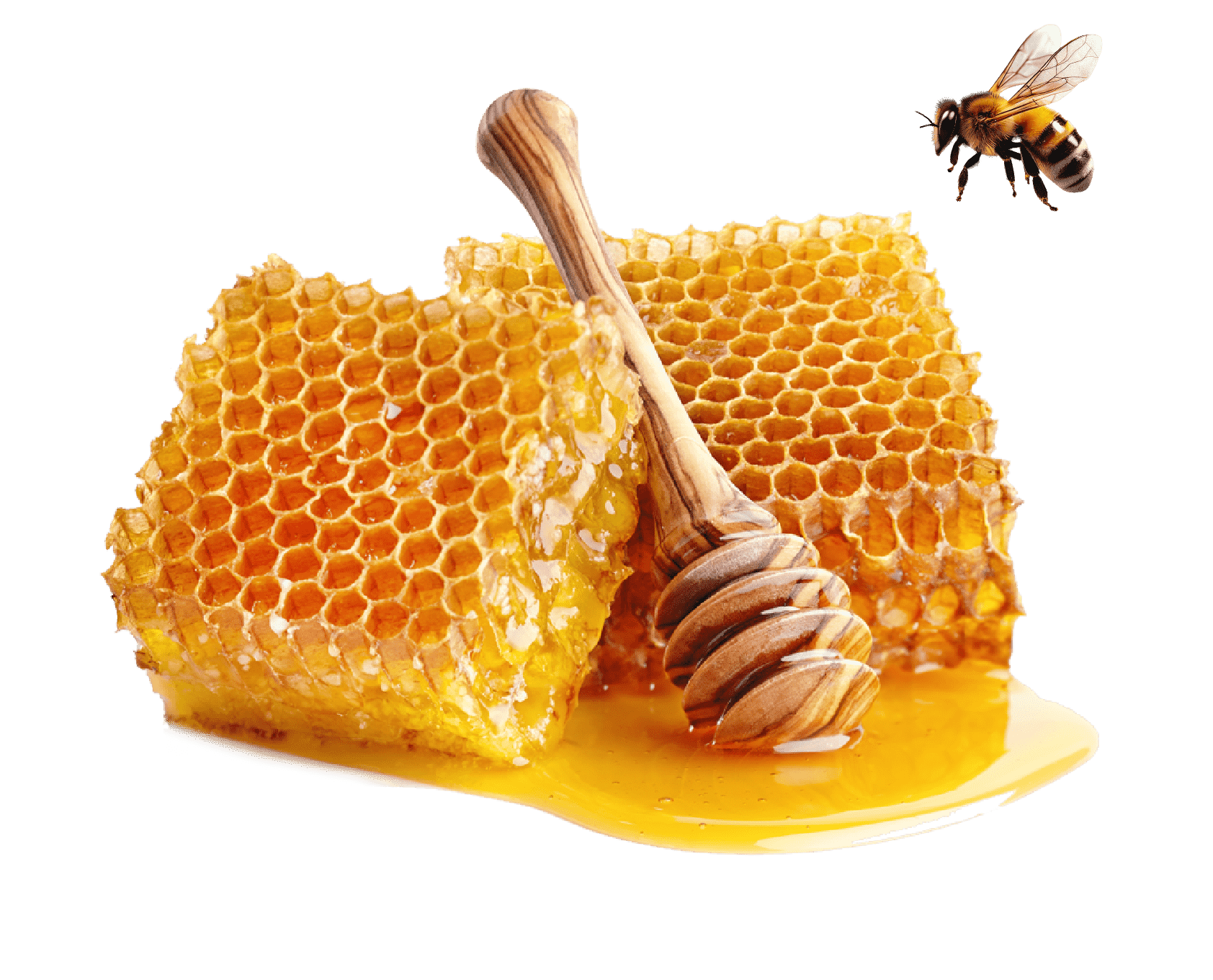 蜂の巣からはちみつが垂れている様子。蜂が周囲を飛び回っている。